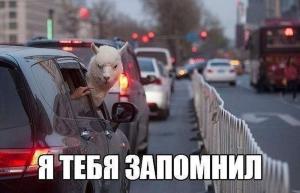 Автомобильные демотиваторы часть 412)