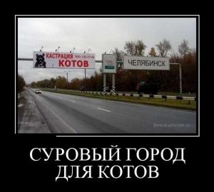 Автомобильные демотиваторы часть 413)