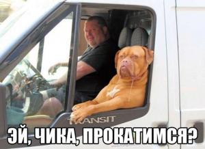 Автомобильные демотиваторы часть 413)