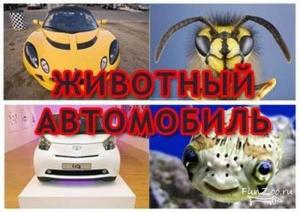 Автомобильные демотиваторы часть 414)