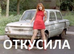 Автомобильные демотиваторы часть 415)