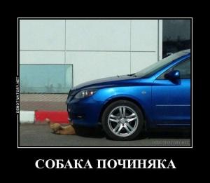 Автомобильные демотиваторы часть 415)