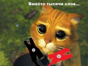 Автомобильные демотиваторы часть 416)