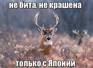Автомобильные демотиваторы часть 417)