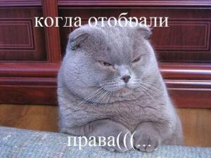 Автомобильные демотиваторы часть 417)