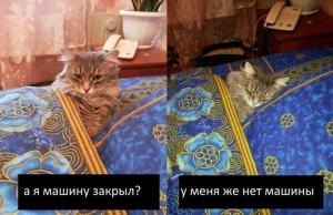 Автомобильные демотиваторы часть 417)