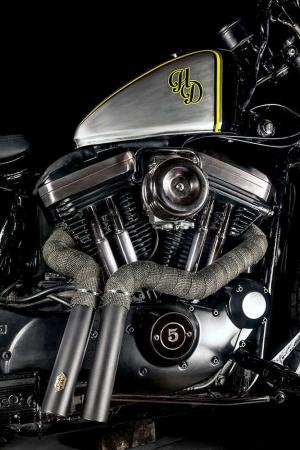 1983 Harley-Davidson Sportster The Sting by Macco Motors