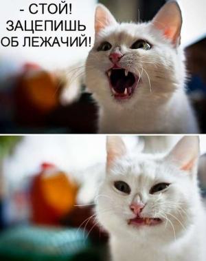 Автомобильные демотиваторы часть 418)