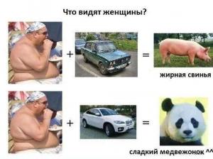 Автомобильные демотиваторы часть 419)