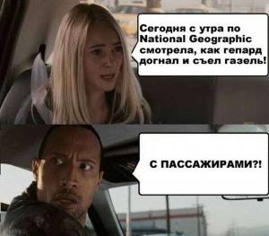 Автомобильные демотиваторы часть 419)