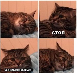 Автомобильные демотиваторы часть 420)
