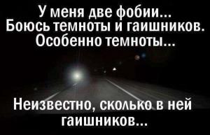 Автомобильные демотиваторы часть 420)