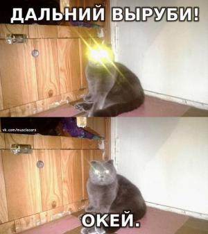 Автомобильные демотиваторы часть 421)