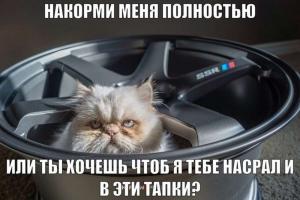 Автомобильные демотиваторы часть 424)