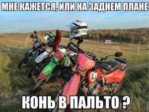 Автомобильные демотиваторы часть 424)
