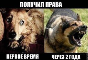 Автомобильные демотиваторы (часть 425)