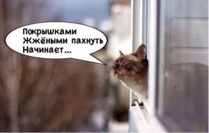 Автомобильные демотиваторы часть 425)