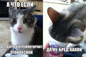 Автомобильные демотиваторы часть 426)