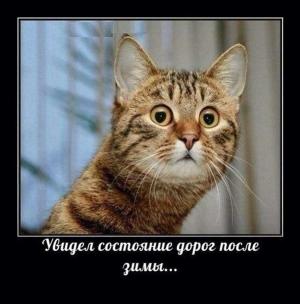 Автомобильные демотиваторы часть 427)