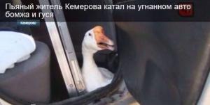 Автомобильные демотиваторы часть 429)