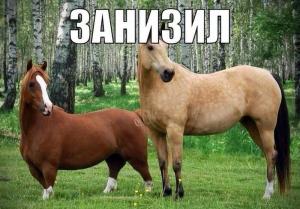 Автомобильные демотиваторы часть 430)