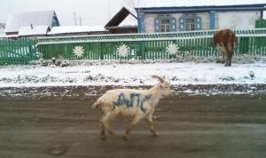 Автомобильная фотоподборка (часть 434)
