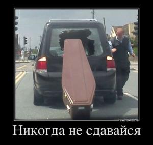 Автомобильные демотиваторы часть 434)