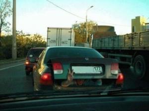 Автомобильная фотоподборка часть 436)