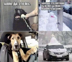 Автомобильные демотиваторы часть 438)