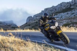 2015 Triumph Speed 94R Special Edition