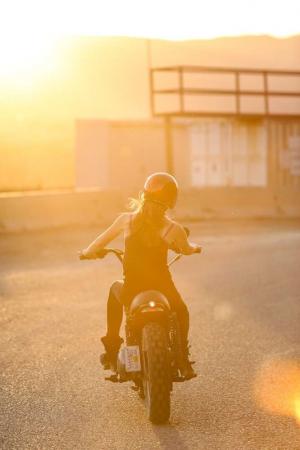 2001 Harley-Davidson Sportster 883 Blondezilla Scrembler