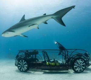 Volkswagen Beetle Shark Cage Design