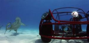 Volkswagen Beetle Shark Cage Design