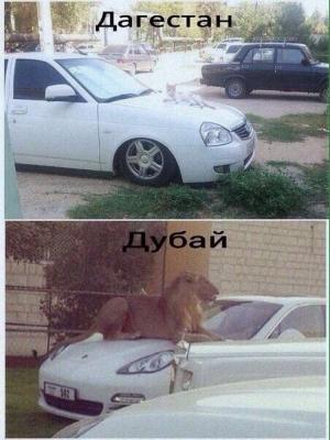 Автомобильные демотиваторы часть 439)