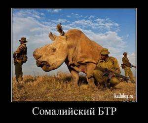 Автомобильные демотиваторы часть 440)