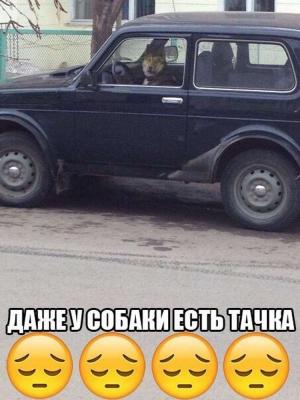 Автомобильные демотиваторы часть 443)