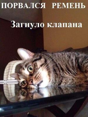 Автомобильные демотиваторы часть 443)