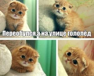 Автомобильные демотиваторы часть 443)