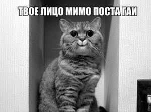 Автомобильные демотиваторы часть 443)