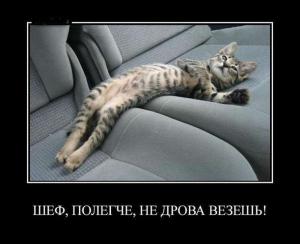 Автомобильные демотиваторы часть 445)