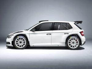 2015 Skoda Fabia R5