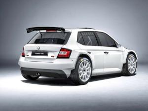 2015 Skoda Fabia R5