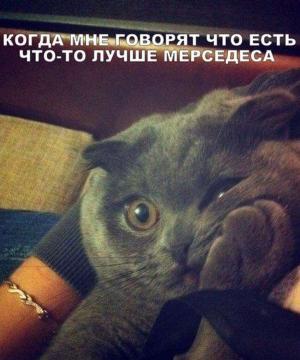 Автомобильные демотиваторы часть 446)