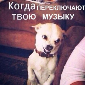 Автомобильные демотиваторы часть 446)