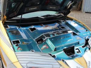 2002 Pontiac Trans Am Cold Edition