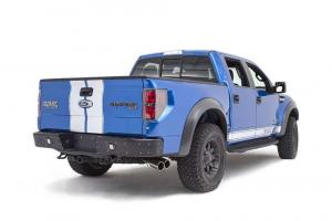 2015 Shelby Baja 700