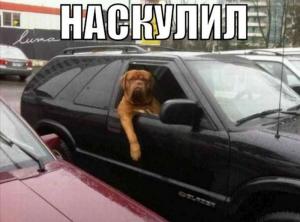 Автомобильные демотиваторы часть 448)