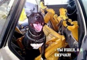 Автомобильные демотиваторы часть 448)