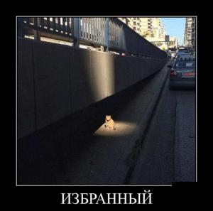 Автомобильные демотиваторы часть 449)