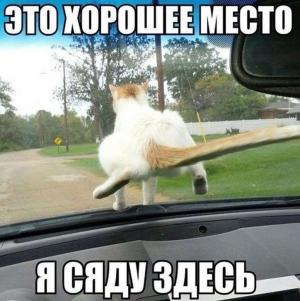 Автомобильные демотиваторы часть 450)